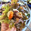 백년손님 | 경주 황리단길맛집 아이랑 백반정식 백년손님 후기