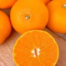 땡큐베리팜 이미지