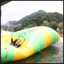 캠프통포레스트 이미지