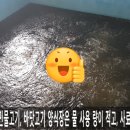 농업회사법인주식회사지원바이오 이미지