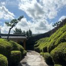 제주기와 애견동반 <b>제주</b> 여행, 제주도 애월 카페, 브런치 맛집 추천 <<b>제주</b><b>기와</b>>