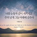 할매낙지마당 이미지
