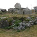 울산 해양박물관 이미지