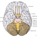성품교육관 유신태권도장 이미지