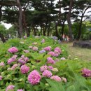 동춘당공원 맞은편 이미지