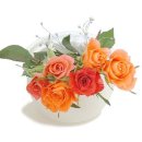 (주)해주 이미지