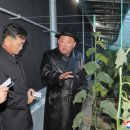 운용농장 이미지