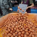 김옥순 농장 이미지