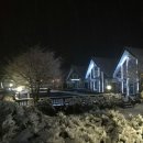 강원도 평창 풀빌라 독채펜션 + 글램핑장부지 1700평 이미지