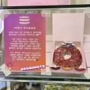아이엠 도넛 이미지