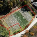 곰배령 길목에서 이미지