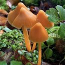 대치동 은마 아파트 내부.jpg 이미지