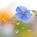 내가좋아하는 이미지