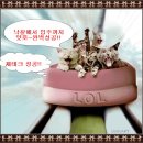 지석초교 이미지