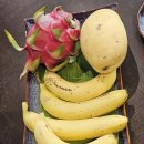 킹당구클럽 | 나트랑 숙소 추천! 아미아나 깜란 리조트 3박 후기 (온수풀·셔틀·머드스파·체크아웃 이후 꿀팁까지)