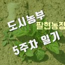 팔현농장 네이버블로그