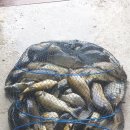 극동낚시터 이미지