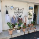 타이어프로 안림점 이미지