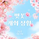 서울석유(주) 항만주유소 | 2026 진해군항제 실시간 개화 상황·주차 명당·셔틀 예약 방법