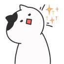 안태진 유기농 유자