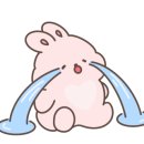 묘랑 고양이 카페 네이버블로그
