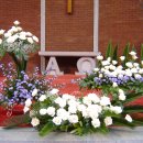 (주)솜씨 이미지