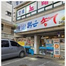 동강맑은송어 네이버블로그