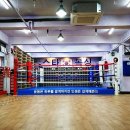 스타복싱 이미지