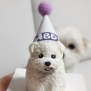 도그투케이크 이미지