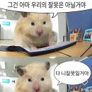 솔미농장 | 바빠서 죽었다가 환생한 후기(feat 부서이동)