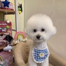 살롱드 베베 이미지