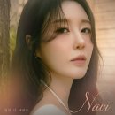 나비(NAVI) 이미지