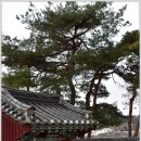 안동김씨 사충문 이미지