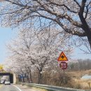 상백1리 마을회관 이미지