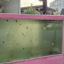 속구미2길 이미지