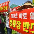 매원초등학교 앞 이미지
