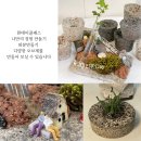 [백석]미니어쳐지도사 과정 | [1일 자격증] 도우 아트 지도사 자격증 소자본 감성 공방 창업