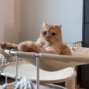 베베그루밍 이미지