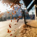 시원한약국 이미지