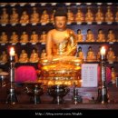 진불사 - 1652 | 진불사