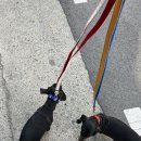 로라펫 하우스 이미지