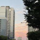 찾고있는 고기집 이미지