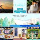 이화마을 작은도서관 | 이화마을·토담골·연남동빙굴빙굴빨래방/컬처놀이터 10월 문화투어 후기