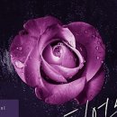더.피어나(The.피어나)