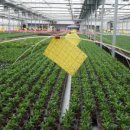 승준농장 이미지