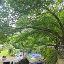 문복산 등산로 화장실 이미지