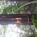 송담2로 이미지