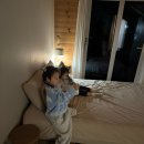 그리니제주 이미지