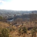 임학공원 출렁다리 이미지