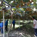 태인농장 이미지